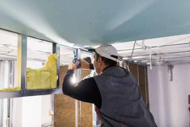 Best Commercial Insulation in Santa Clara, NM